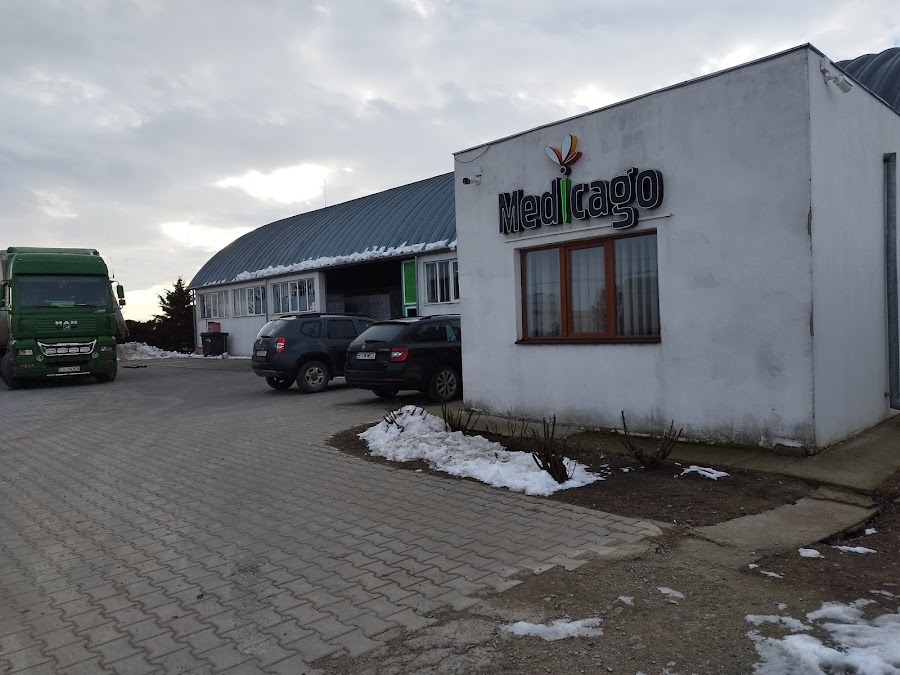 Medicago, Strada Agricultorilor, 927190 Perieți, România