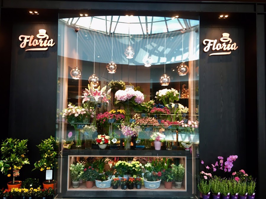 Florăria Floria Băneasa, Șoseaua București-Ploiești 42D, etaj 1, 013696 București, România