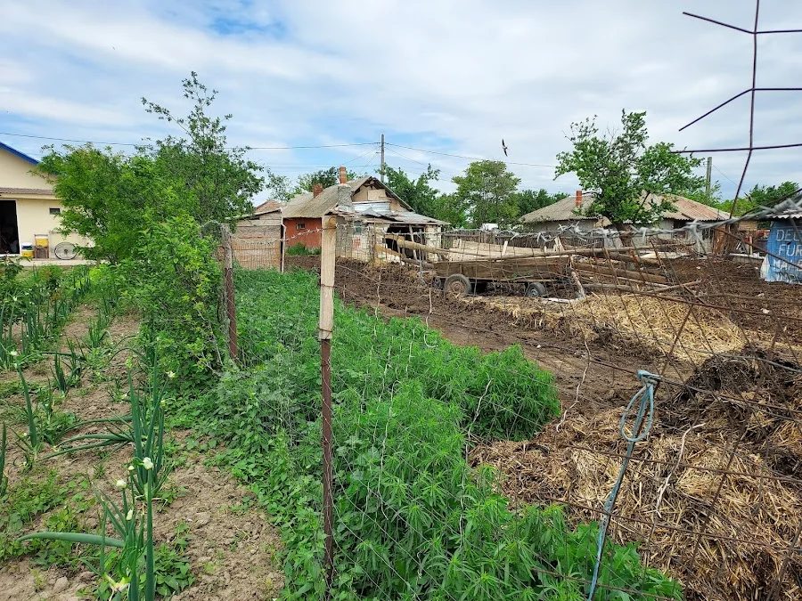 Primăria Ciochina, 927075 Ciochina, România